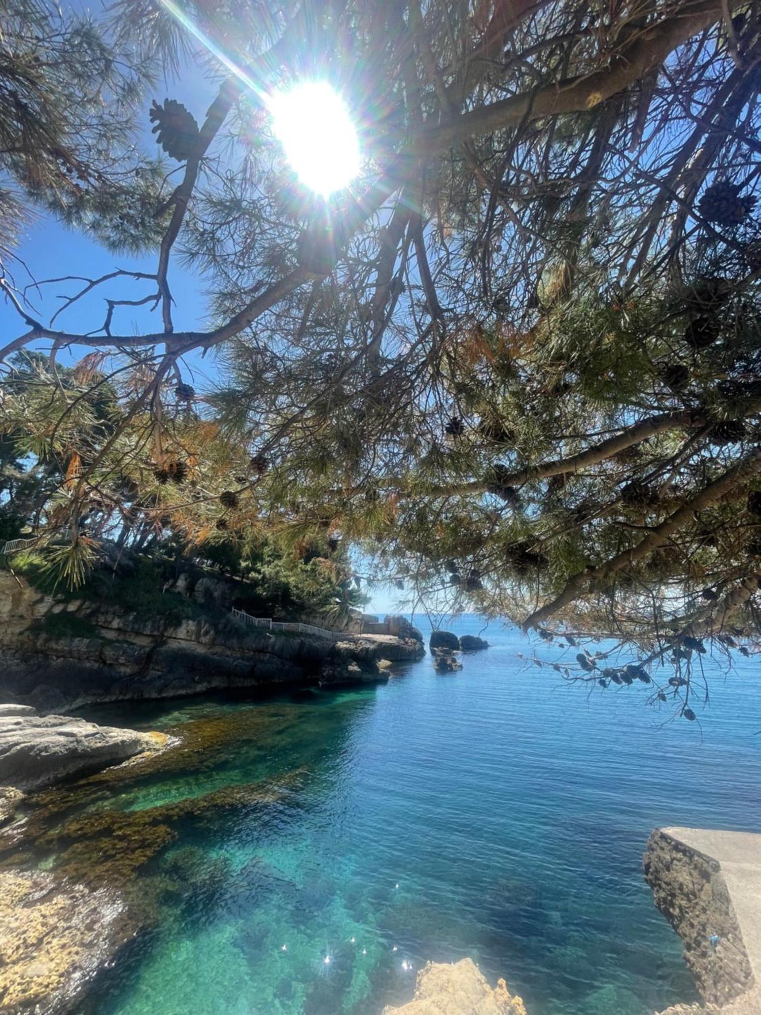 Corpus A - Hotel Albatros Ülgün Dış mekan fotoğraf